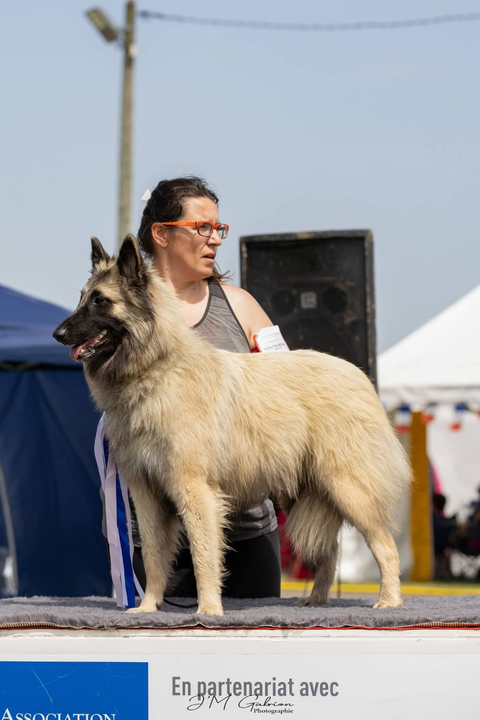 Réserve de Best in show